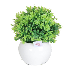 AONEZ LITTLE MILAN GRASS WHITE  PCS 