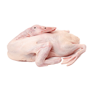 BEBEK FRESH  PCS 