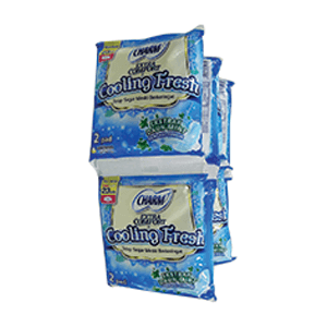 CHARM PEMBALUT COOLING FRESH 2'S WING SCT 23cm