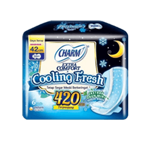CHARM PEMBALUT COOLING FRESH 6'S  PCK 42cm