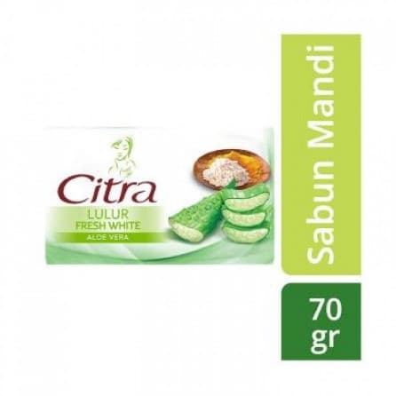 CITRA TS FRESH WHITE CNT 70g