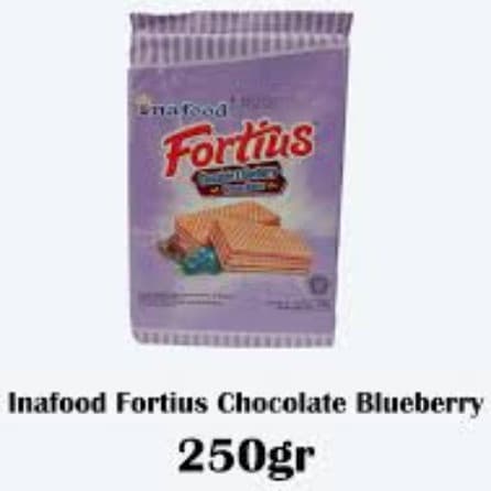 FORTIUS CHOCOLATE & BLUEBERRY 250G