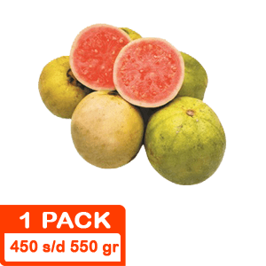 JAMBU BATU/KLUTUK MERAH  WHL 