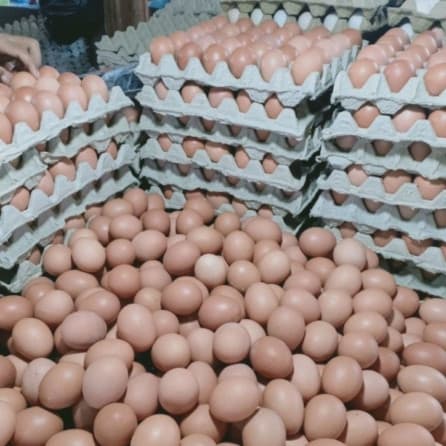 Kasbon Telur Warung Kita