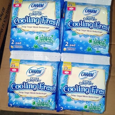 PEMBALUT CHARM COOLING FRESH 2'S WING 10 SCT 23cm