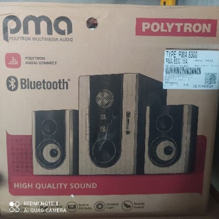 Polytron speaker