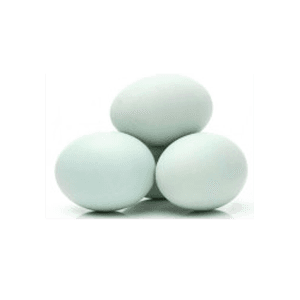 TELUR ASIN MATANG  PCS 