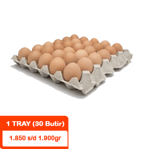 TELUR AYAM NEGERI CURAH  WHL 