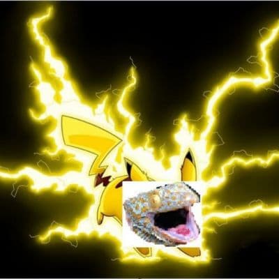 Tokek listrik